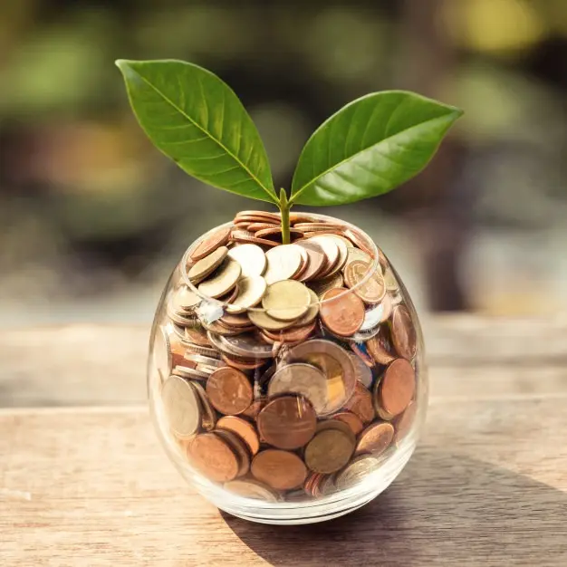 Come funziona la 14esima Areajob - boccia di vetro contenente tante monete e una pianta